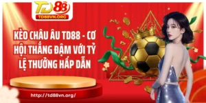 Kèo châu Âu TD88